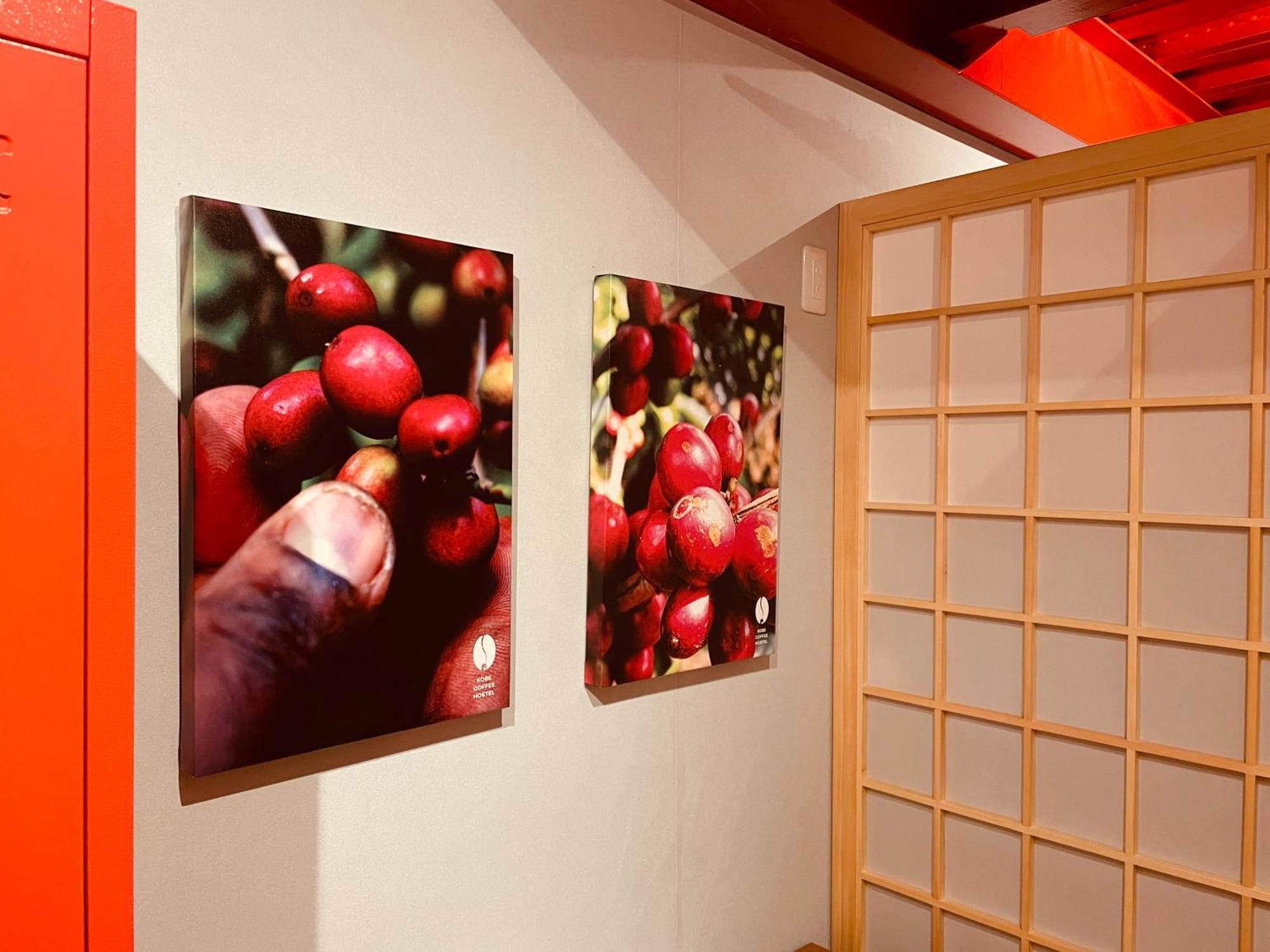 Kobe Coffee Hostel المظهر الخارجي الصورة